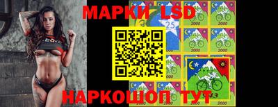 амф Донецк