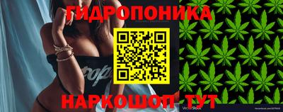 МДПВ Дубна