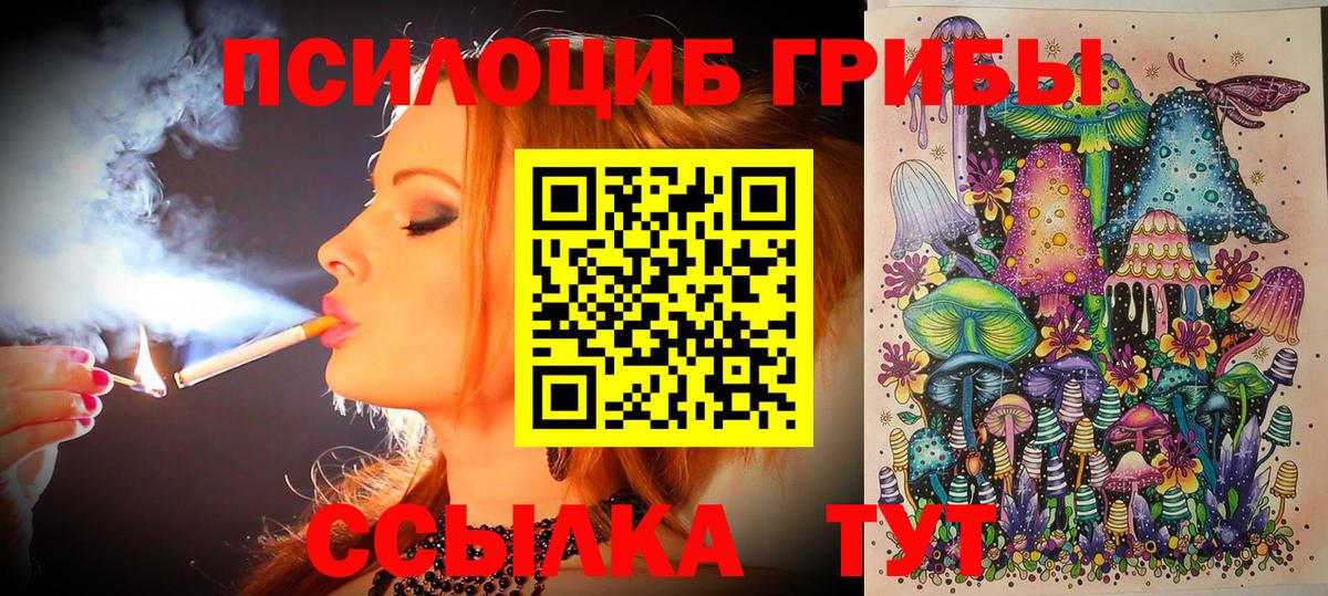 Псилоцибиновые грибы Cubensis  Псилоцибиновые грибы Psilocybine cubensis  Вход с VPN  Котлас 